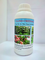 Chitosan and nanochitosan from squid pens: Preparation, properties and application